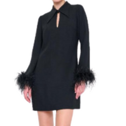 Greyson Feather Sleeve Mini Dress